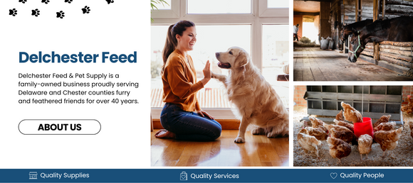 Feed & online pet supply