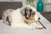 Natural Cravings USA Turkey Sizzle Sticks Treat